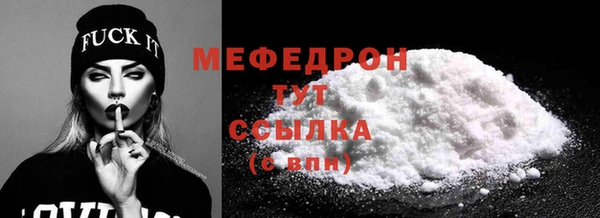 spice Богданович