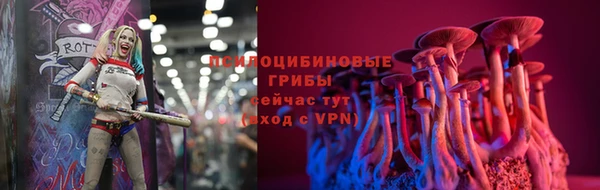 стаф Богородицк
