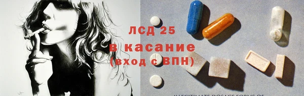 стаф Богородицк