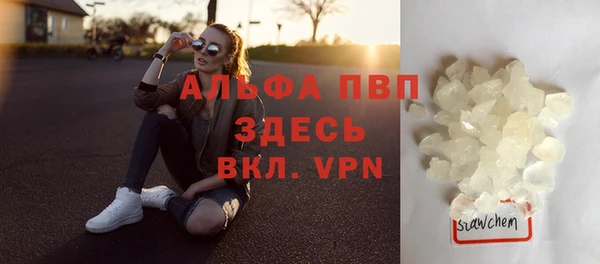 стаф Богородицк