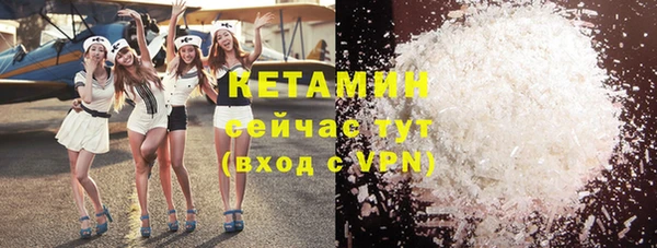 сатива Бородино