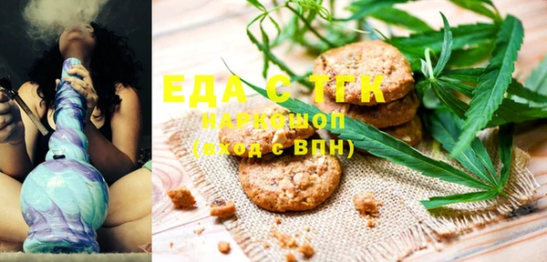 spice Богданович