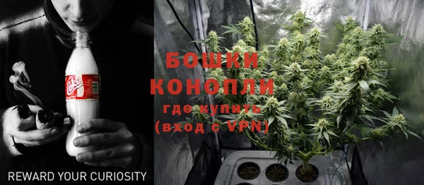 стаф Богородицк