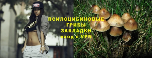 spice Богданович