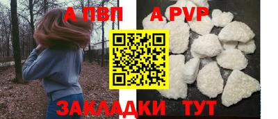 гашик Бийск