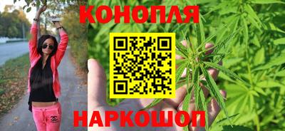 гашик Бийск