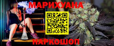 гашик Бийск