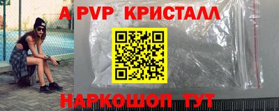 гашик Бийск