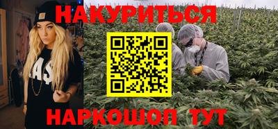 гашик Бийск