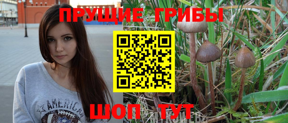 Галлюциногенные грибы Magic Shrooms  Гулькевичи  Псилоцибиновые грибы прущие грибы 
