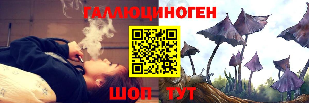 Галлюциногенные грибы мицелий  Вход с VPN  дарнет шоп  Гулькевичи 